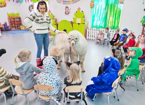 Przedszkole językowe Radom, wizyta Alpaki