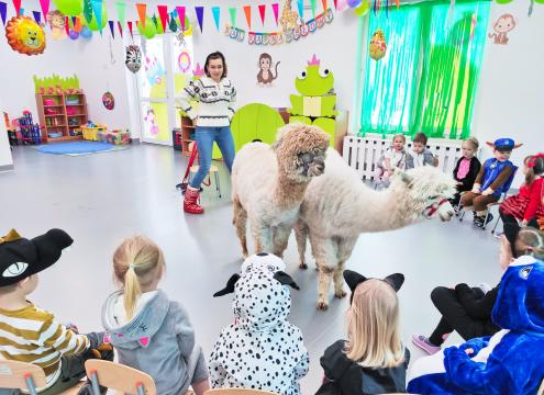 Przedszkole językowe Radom, wizyta Alpaki